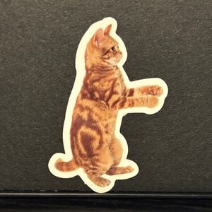 ORANGE CAT STICKER